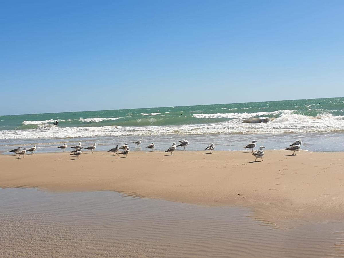 Apartamento Vista Azul Costa Ballena Εξωτερικό φωτογραφία